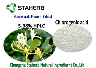 China Ingredientes cosméticos naturais orgânicos, ácido clorogénico 5-98% CAS do extrato da flor da madressilva 327 97 9 fornecedor