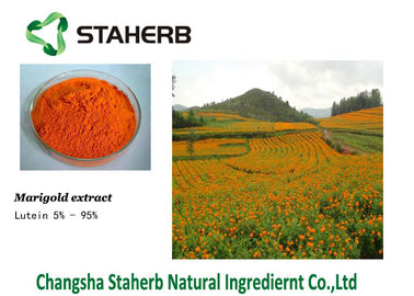 China O extrato do cravo-de-defunto do Lutein 127-40-2 concentrou a substância corante do extrato da planta fornecedor