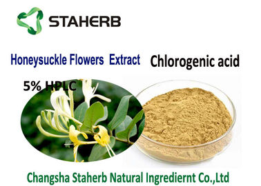 China Luz ácida clorogénica do extrato das flores da madressilva - produto comestível amarelo do pó fornecedor