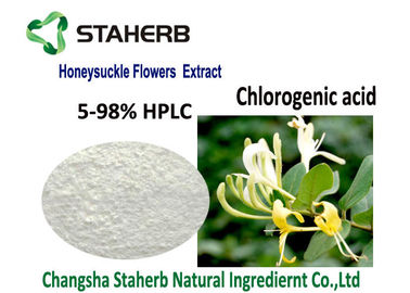 China Extrato ácido clorogénico da categoria de Pharma, extrato natural da flor da madressilva do API fornecedor