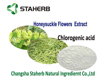 China extrato natural ácido clorogénico puro CAS da planta 80%HPLC 327 97 9 produtos da saúde fornecedor