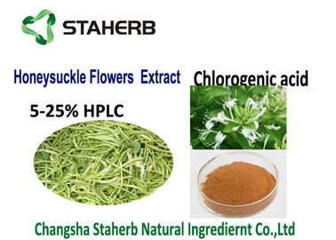 China Extrato ácido clorogénico anti 50-90%HPLC inflamatório CAS da planta natural 327 97 9 fornecedor