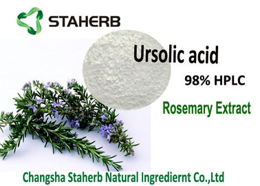China Ácido 5-90% do ácido 50-98% Carnosic de Rosmarinic do pó do extrato dos alecrins do ácido 25-98% de Ursolic fornecedor