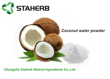 China Pó desidratado orgânico do fruto, pó branco da água do coco para a bebida/alimento fornecedor