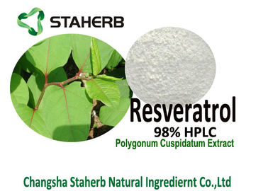 China Pó do extrato da raiz de Cuspidatum do Polygonum da HPLC do Resveratrol 98% para a extensão de vida fornecedor