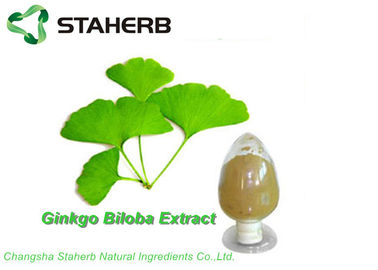 China Lactona orgânica antioxidante da flavona 6% do extrato GBE 24% da folha de Biloba da nogueira-do-Japão pela HPLC fornecedor