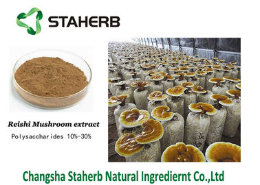 China Triterpene 1%-20% do pó de Brown do extrato do cogumelo de Ganoderma Lucidum Reishi fornecedor