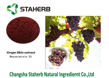 China Ingredientes ativos de Resveratrols do anti pó branco Thrombotic do extrato da pele da uva fornecedor
