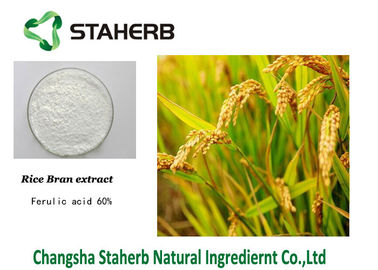 China Extratos ervais puros da casca ácida Ferulic do arroz fornecedor