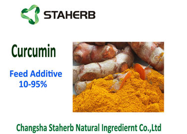 China Aditivos fitogênicos da alimentação da matéria prima, pureza do pó 10-95% do Curcumin da cúrcuma fornecedor