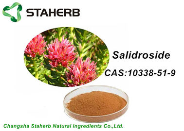 China Anti - enrugamento que clarea o extrato Salidroside CAS de Rhodiola Rosea 10338 51 9 fornecedor