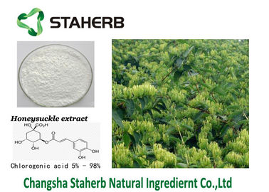 China O extrato ácido clorogénico da flor de Honeysuchle do extrato de CAS 327-97-9 reduz o calor fornecedor