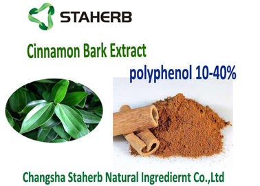 China Polyphenols antioxidantes kosher da canela do extrato 10-30% da casca de canela do suplemento dietético fornecedor