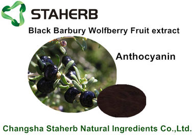 China Extrato preto do fruto de Barbary Wolfberry, ingredientes de alimento naturais para a bebida fornecedor