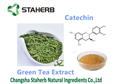 China Pó antioxidante do Catechin 50-98% do suplemento dietético ao extrato do chá verde fornecedor