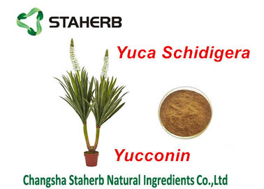 China Pó natural da mandioca de Yocoin dos aditivos da alimentação do extrato de Schidigera da mandioca fornecedor