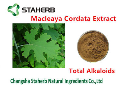 China Cor anti-bacteriana dos alcaloides 20%-60% Brown do total do extrato de Cordata do Macleaya da planta fornecedor