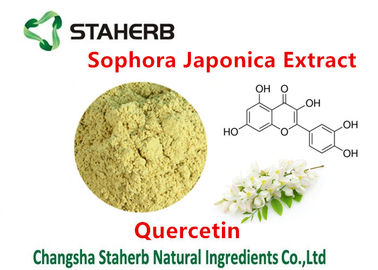 China Extrato de Japonica do Sophora que extrai produtos químicos da quercetina 98% das plantas fornecedor