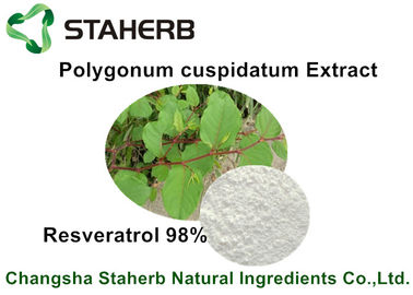 China Resveratrol extrato cosmético cru de Cuspidatum do Polygonum dos ingredientes de 50% - de 98% fornecedor