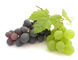 Resveratrol cosmético natural 5% Cas No.501-36-0 dos ingredientes do extrato da pele da uva fornecedor