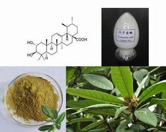 China Ácido perdedor 1%-98% de Corosolic do extrato de Speciosa do Lagerstroemia das matérias primas do peso da folha de Banaba fornecedor