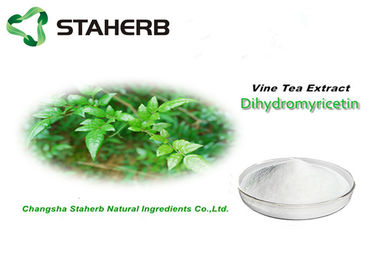 China A planta natural pura das folhas de chá da videira extrai Dihydromyricetin 98% CAS 27200-12-0 fornecedor