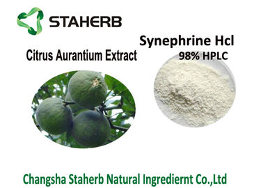 China Extrato de Aurantium do citrino de 98% Synephrine, HCL amargo do extrato da casca alaranjada solúvel em água fornecedor