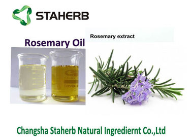 China Os alecrins folheiam óleo essencial do extrato, dos alecrins para o alimento e extrato natural da erva de cosmetics.100% fornecedor