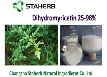 China Pó natural de Dihydromyricetin DMY do extrato de Ampelopsis Grossedentata do chá da videira fornecedor