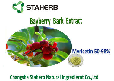 China Myricetin amarelo 50%-98% da cor verde do extrato do pó da casca do Bayberry da antioxidação fornecedor
