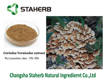 China Extratos anti-bacterianos da planta de Krestin PSK, coriolus - polisacáridos versicolor do extrato do cogumelo fornecedor