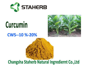 China Pó natural CWS da cúrcuma dos aditivos de alimento biológico do Curcumin - Curcumin 10% fornecedor
