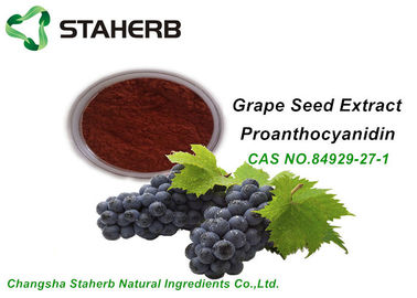 China OPC orgânico 95% CAS 84929 do extrato da semente da uva dos ingredientes da composição do anti oxidante 27 1 fornecedor