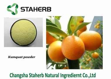 China Aditivo de alimento imediato do sabor do extrato de Aurantium do citrino do pó do Kumquat do fruto fornecedor