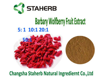 China Extrato natural 4/1 da baga de Barbary Wolfberry Goji 10/1 pós de Brown da relação anti - tumor fornecedor