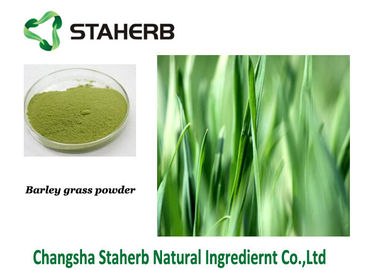 China Pulverizador da cor verde de Gine do pó do suco da grama de cevada da erva - extração secada fornecedor