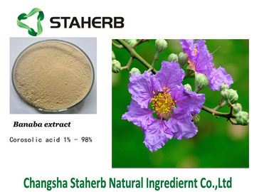 China Extratos anti-bacterianos da planta Banaba da folha ácida de Corosolic fornecedor