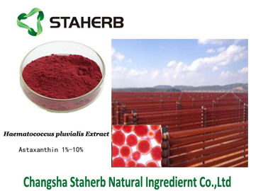 China Obscuridade antioxidante do extrato do Pluvialis de Haematococcus do suplemento dietético ao Astaxanthin - pó vermelho fornecedor