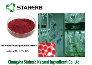 China O Astaxanthin 472-61-7 concentrou o extrato do pluvialis de Haematococcus do extrato da planta fornecedor