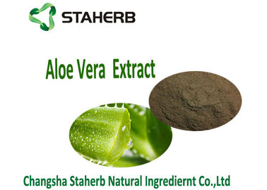 China Extrato natural Aloin10-98% da erva do pó anti-bacteriano e Anti-inflamatório do aloés do extrato de Vera do aloés fornecedor