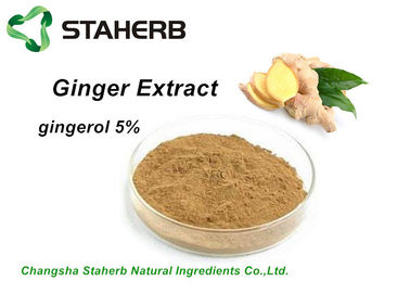 China Gingerol anti-bacteriano 5%-95% do extrato do gengibre do extrato da planta pela HPLC fornecedor