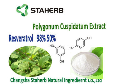 China Extrato da planta verde da raiz de Cuspidatum do Polygonum fornecedor