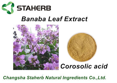 China As matérias primas perdedoras do peso que comprimem Banaba natural Sangue-gordo extraem o pó do ácido de Corosolic fornecedor