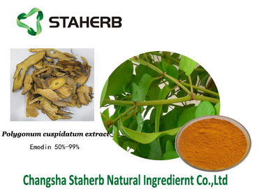 China Extrato anti-bacteriano 518-82-1 do cuspidatum do Polygonum dos extratos da planta do Emodin fornecedor