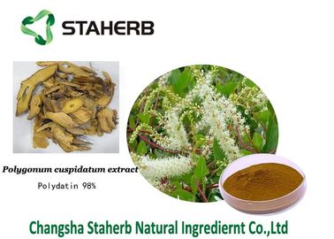 China Do extrato erval puro do cuspidatum do Polygonum dos extratos de Polydatin pó fino cristalino branco fornecedor