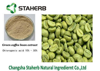 China O ácido clorogénico, torna mais pesado extrato verde perdedor CAS do feijão de café NENHUM 327-97-9 fornecedor