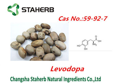 China Os pruriens concentrados do Mucuna da planta extraem o pó cas no.59-92-7 de Levodopa fornecedor