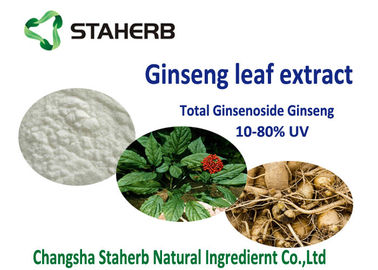 China material antioxidante do suplemento dietético ao ginsenoside de 20% 80%, extrato orgânico da folha do ginsém fornecedor