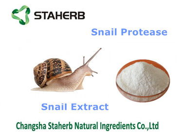 China Matérias primas naturais dos cosméticos do extrato do caracol, ingredientes cosméticos orgânicos fornecedor