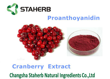 China Pó fino violeta suplemento antioxidante orgânico/natural ao extrato do arando fornecedor